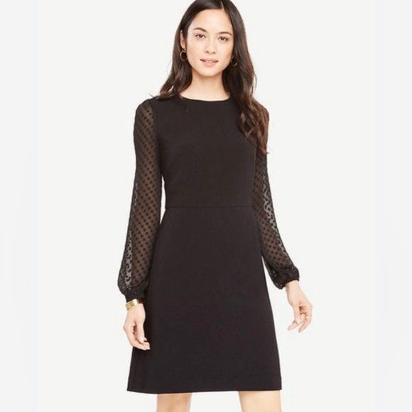 Ann Taylor Dresses & Skirts - Ann Taylor Chiffon Dot Sheer Sleeve Shift Dress Size 8